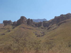 DSCF0307