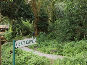 Batcave