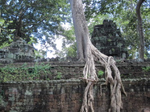 Ta Prohm